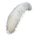 Feather Plums