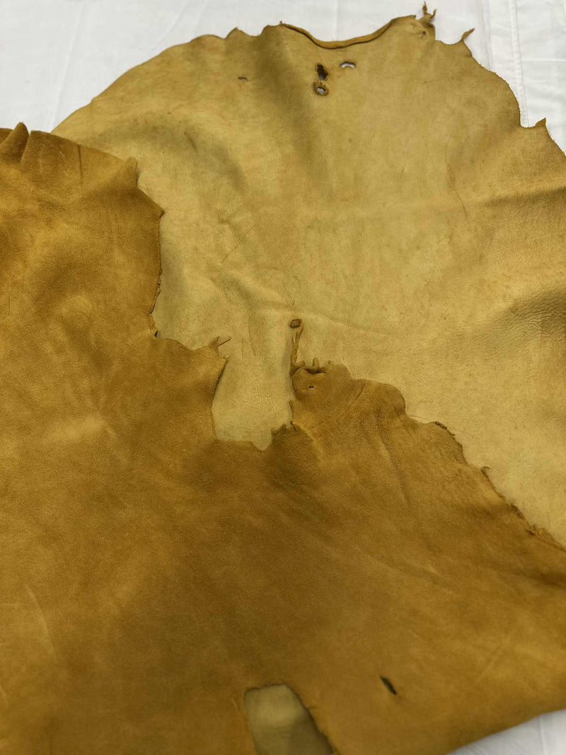 Full Moose Hide