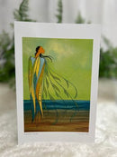 Maxine Noel Greeting Cards