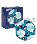 Artist Designed Soccer Ball