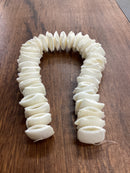 Shell Bead Packs