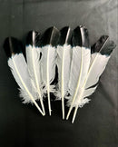 Imitation Eagle Feathers