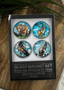 Glass Magnet Set