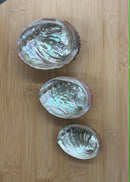 Abalone Shells