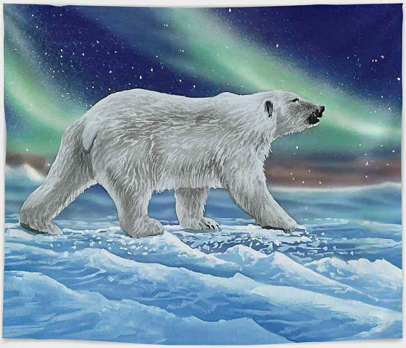 60x50 Artist Fleece Blankets