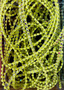 Plastic Rhinestone Banding in Meters