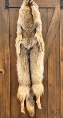 Full Coyote Fur