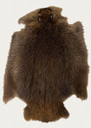 Beaver Pelt