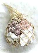 Seashell Bundles