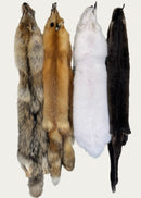 Full Coyote Fur