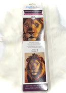 Diamond Art Canvas Kit DIY