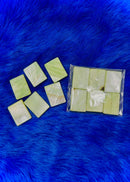 Colourful Shell Tabs