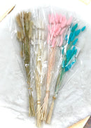 Bunny Tail Stems