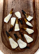 Mixed White Bone Tooth