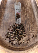 Size 10 Miyuki Delica Beads