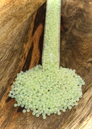 Size 10 Czech Seed Beads 24g Vial