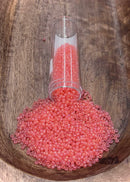 Size 10 Seed Bead 20g Vials