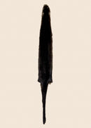 Brown Otter Fur
