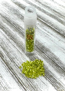 Size 10 Miyuki Delica Beads