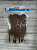 Goose Feathers