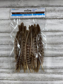 Natural Feathers
