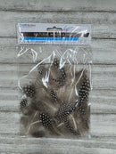 Natural Mini Feathers