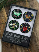 Glass Magnet Set