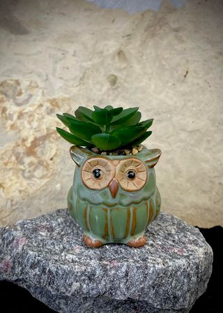 Owl Green Stoneware Planter- $12.00