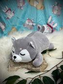 Indigenous Creatures