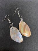 Shell Shape Abalone Shell Earrings